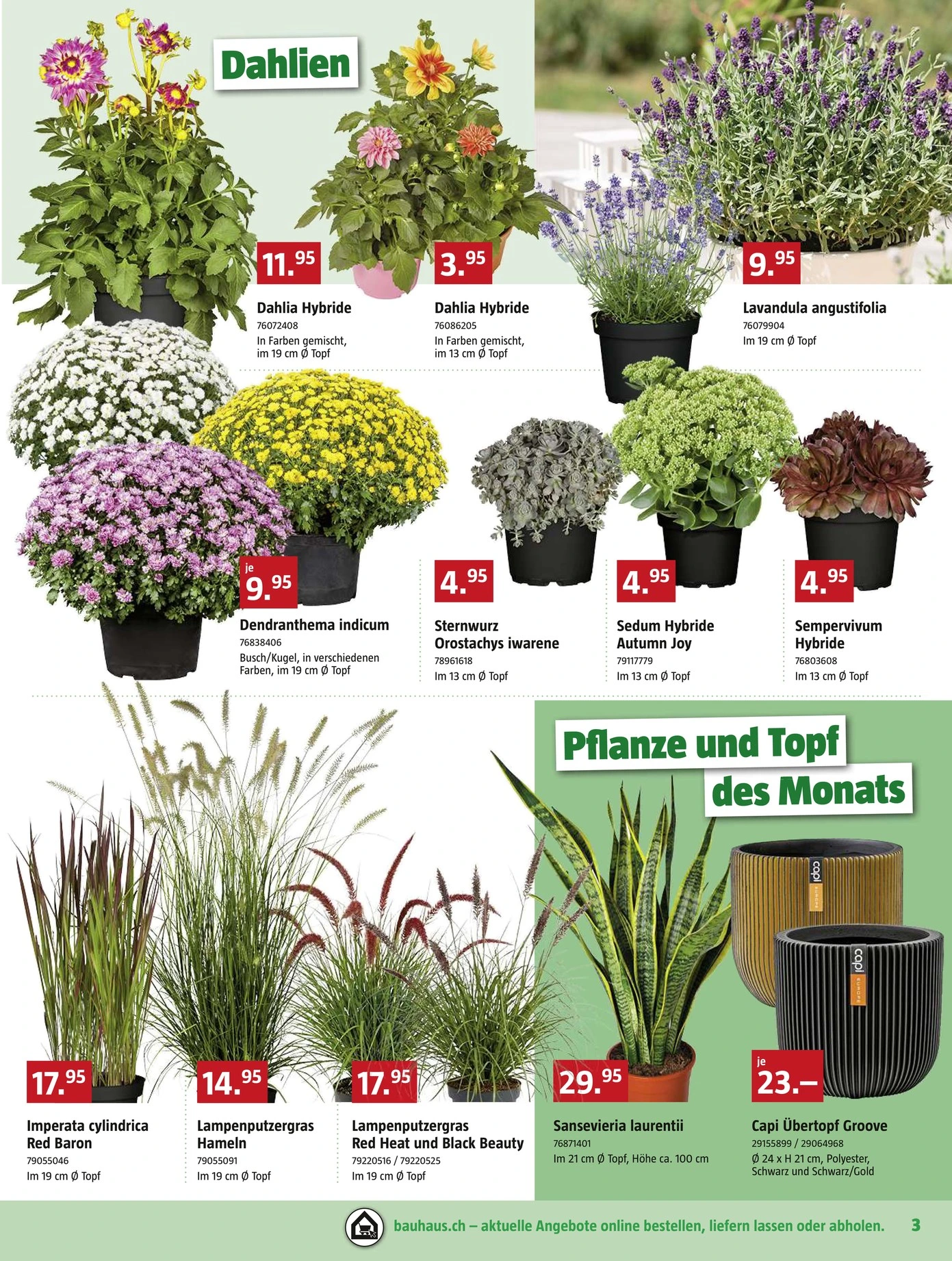 Flyer page 3
