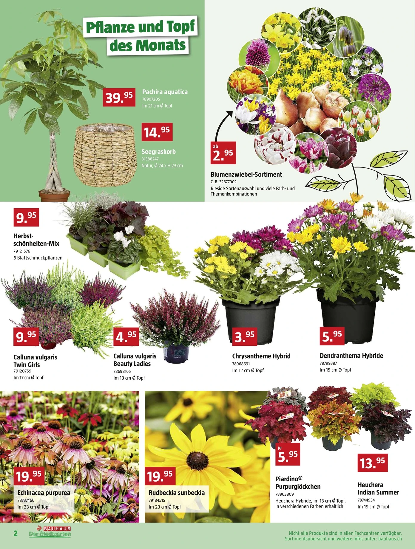Flyer page 2