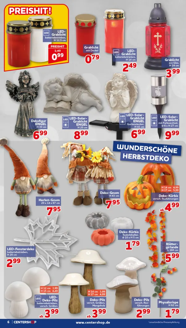 Flyer page 6