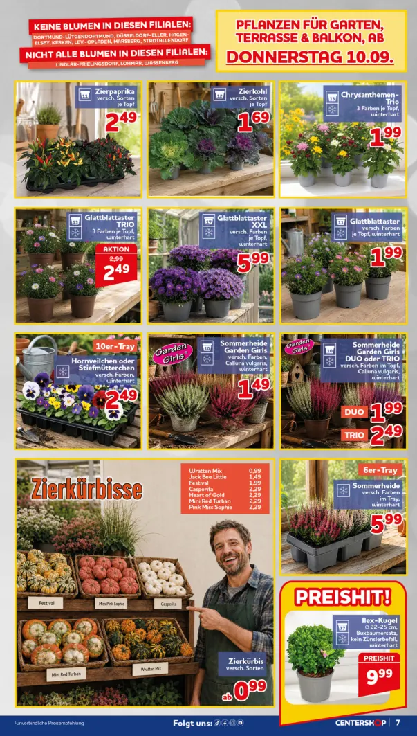 Flyer page 7