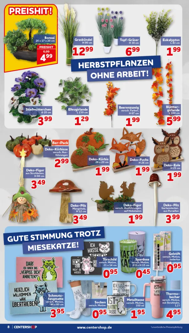 Flyer page 8