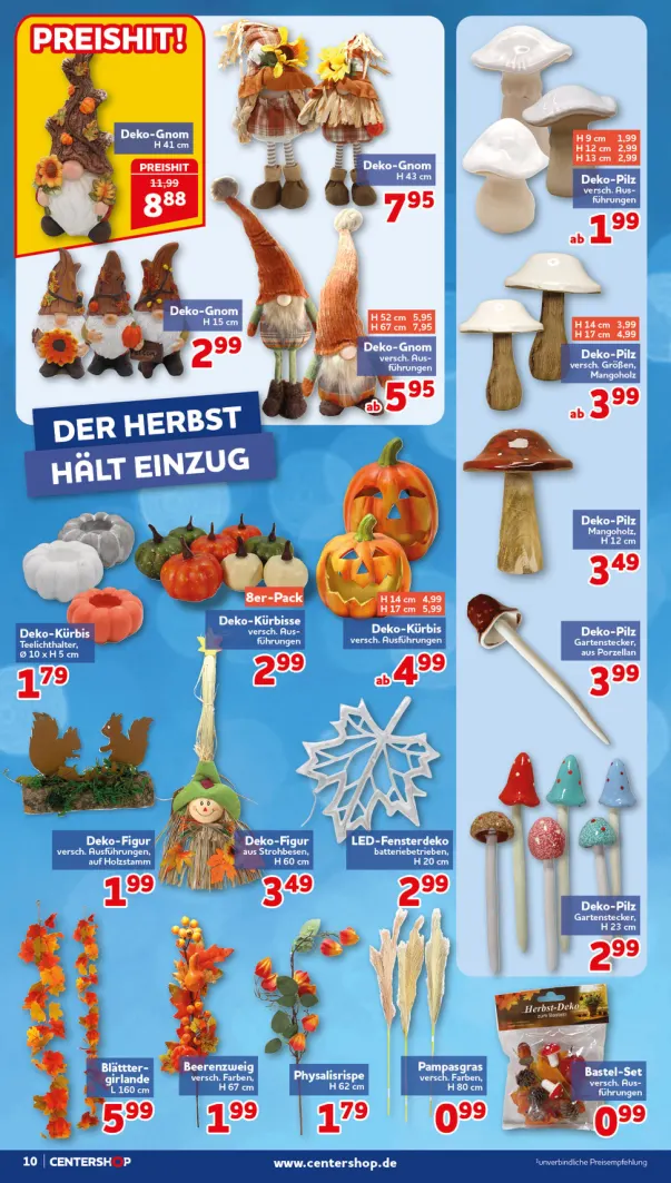 Flyer page 10