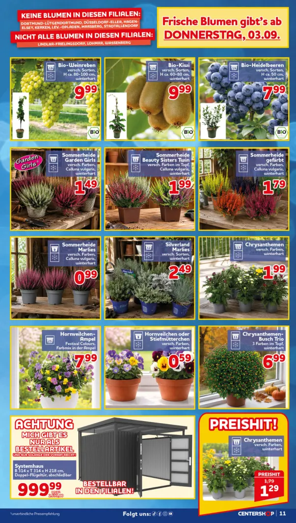Flyer page 11