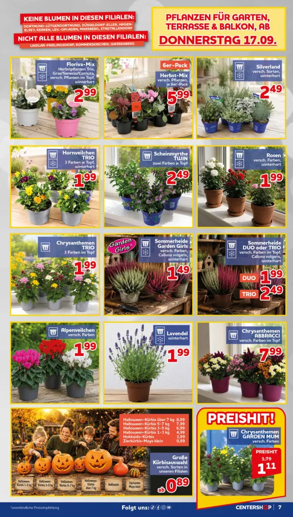 Flyer page 7