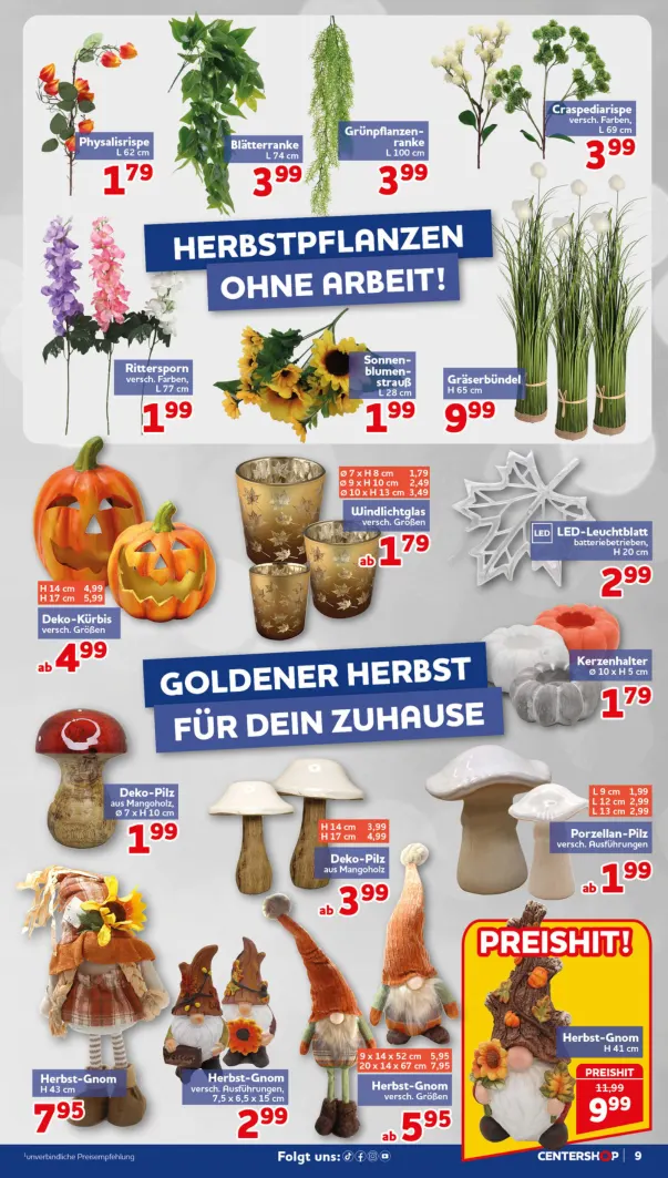 Flyer page 9