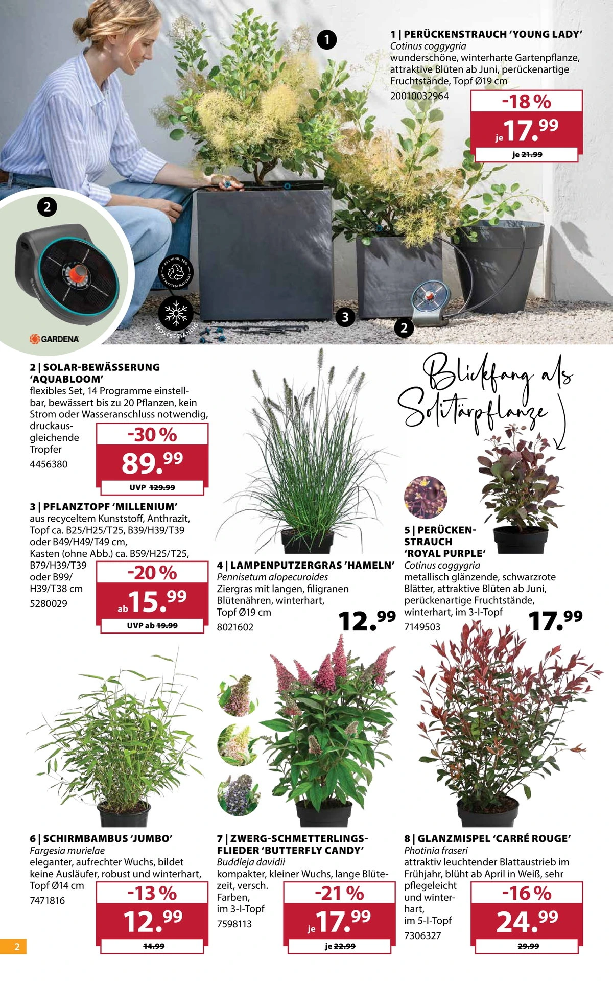 Flyer page 2