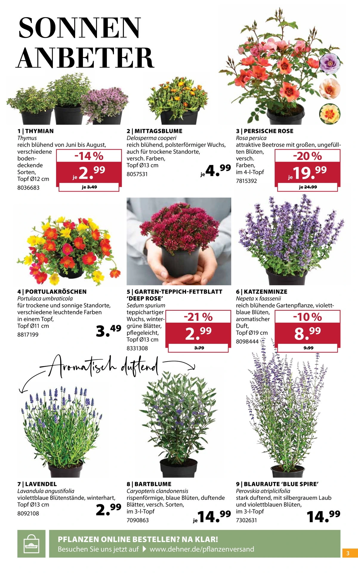 Flyer page 3