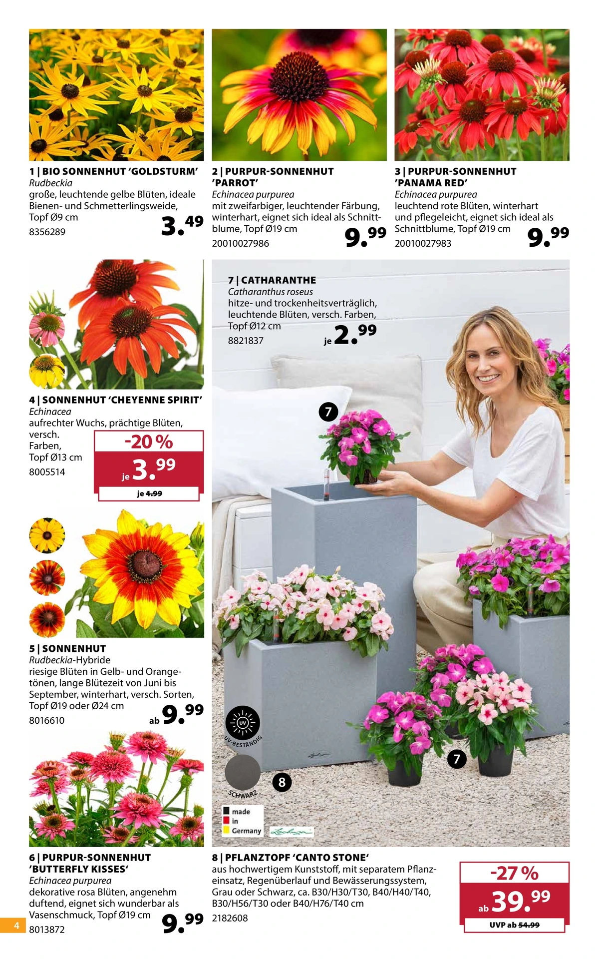 Flyer page 4