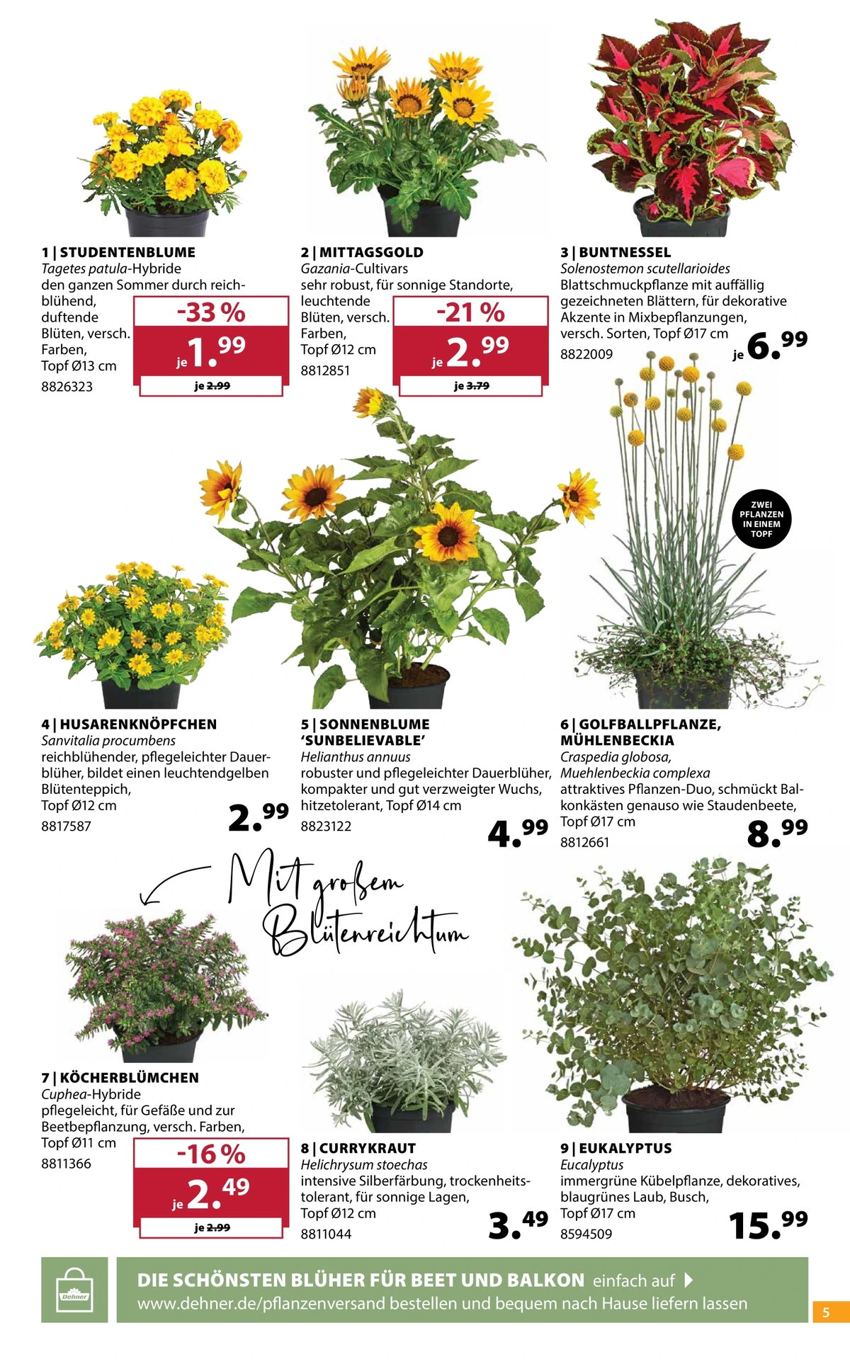 Flyer page 5