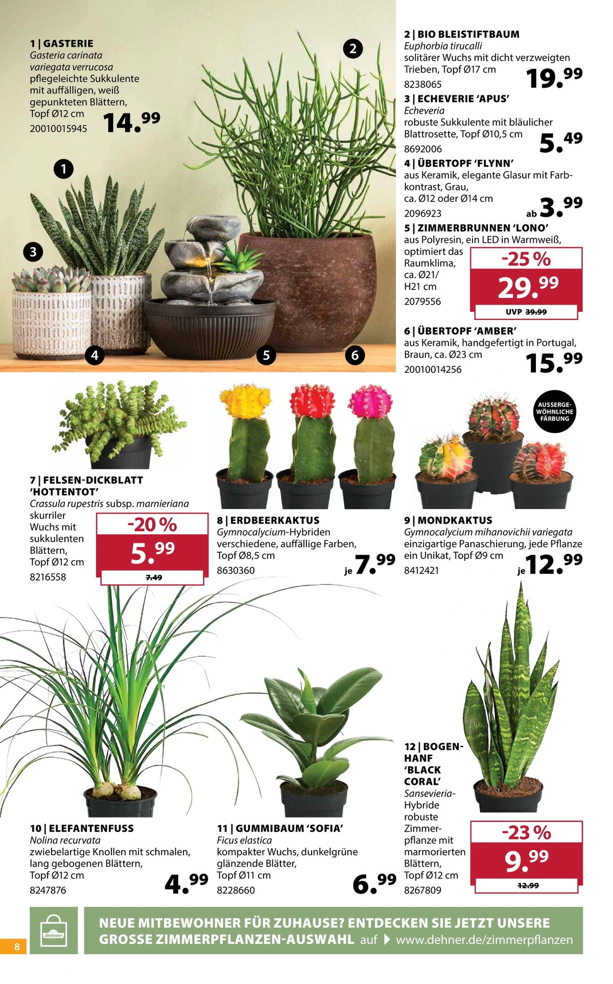 Flyer page 8
