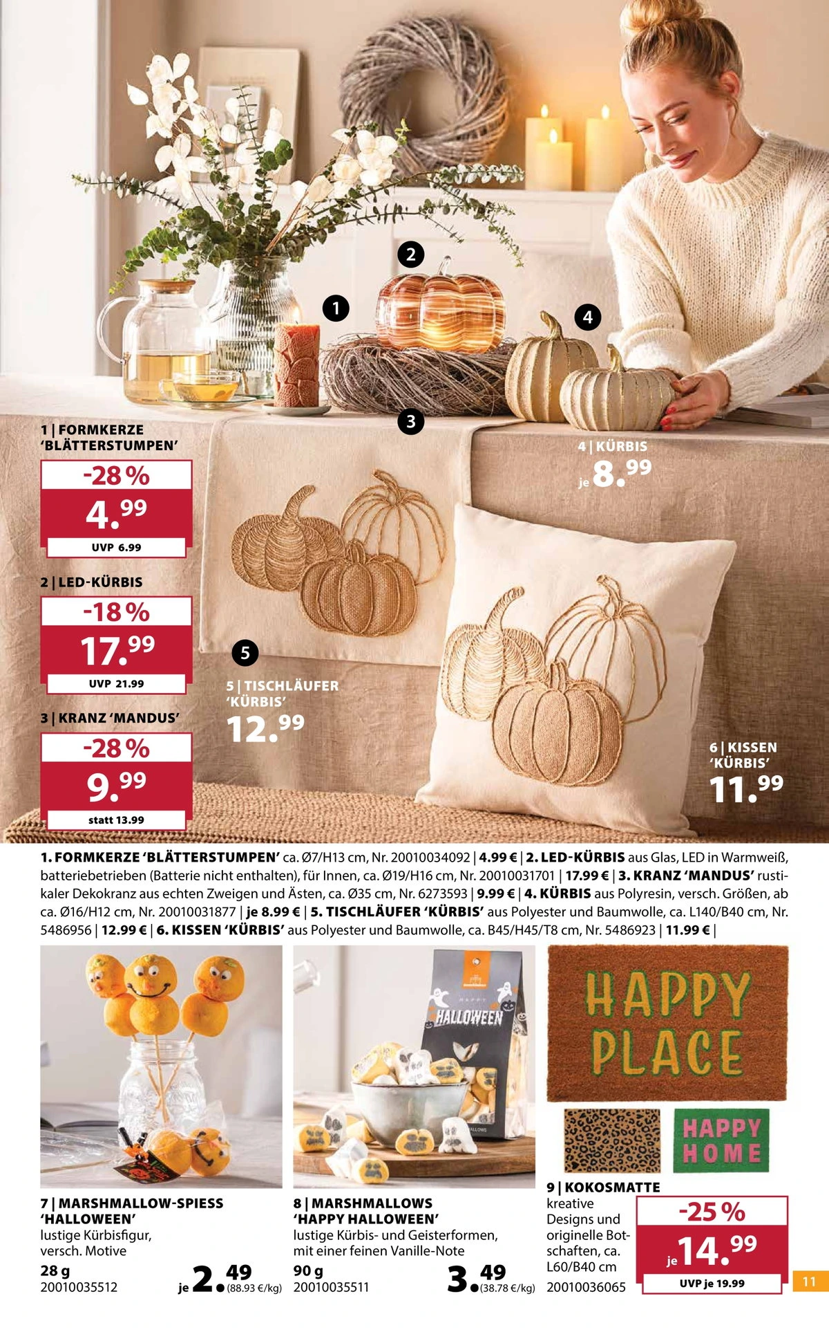 Flyer page 11