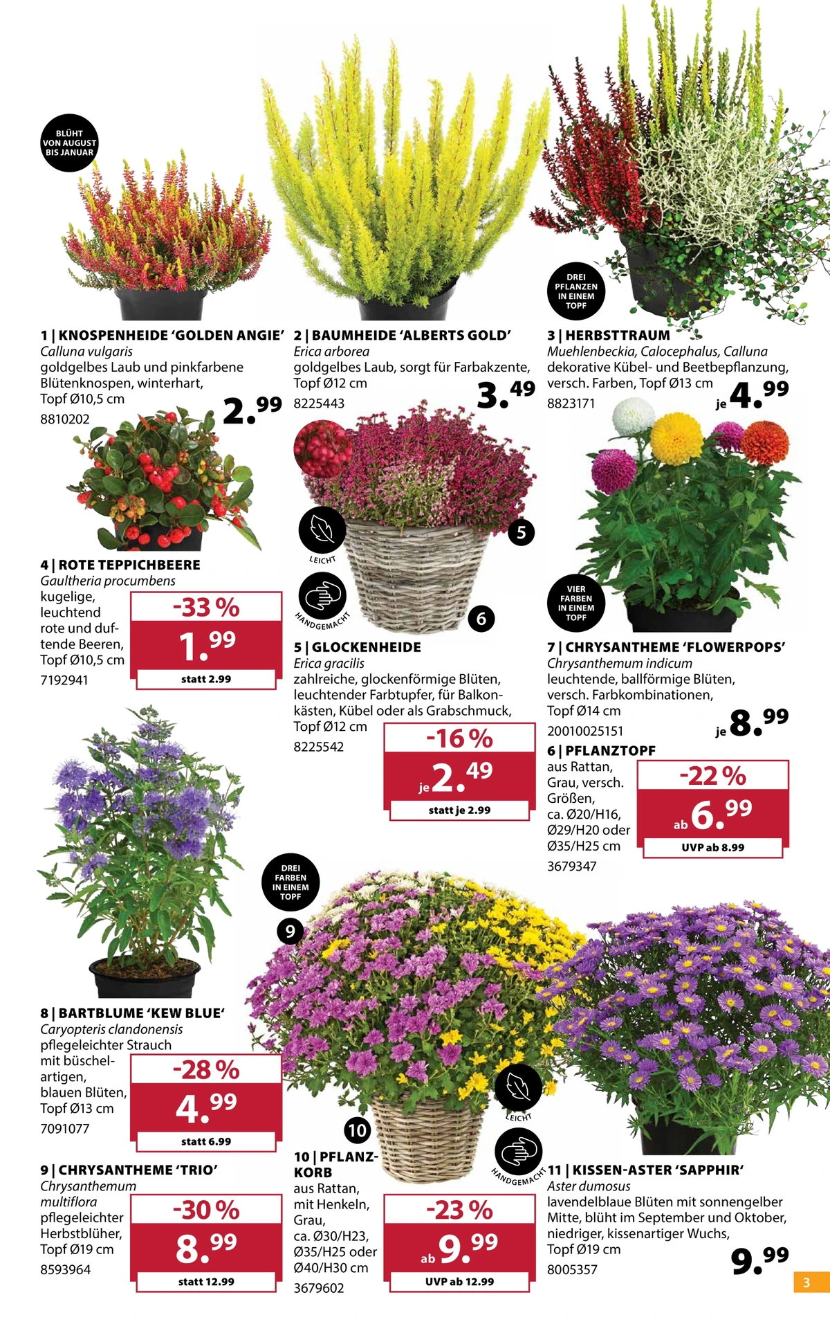 Flyer page 3
