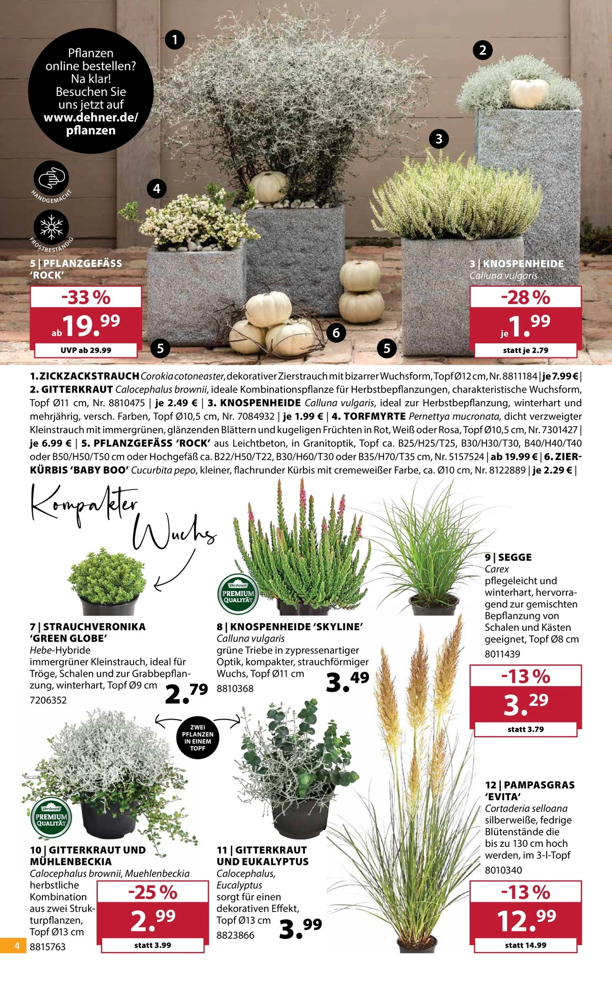Flyer page 4