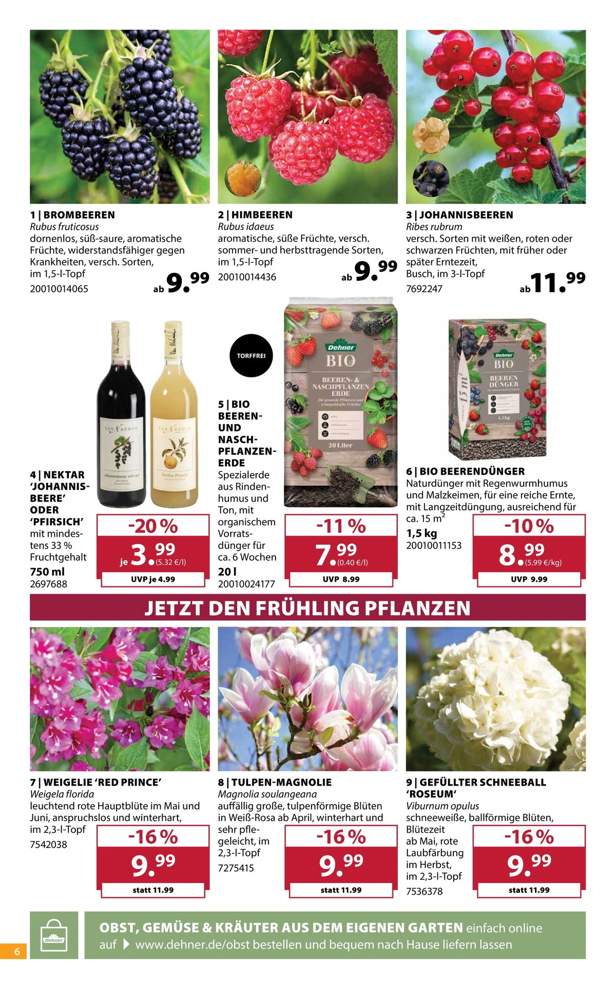 Flyer page 6