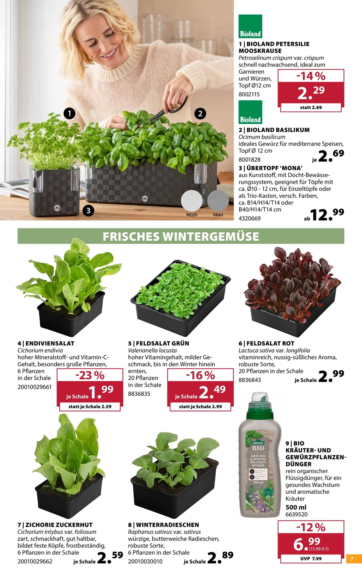 Flyer page 7