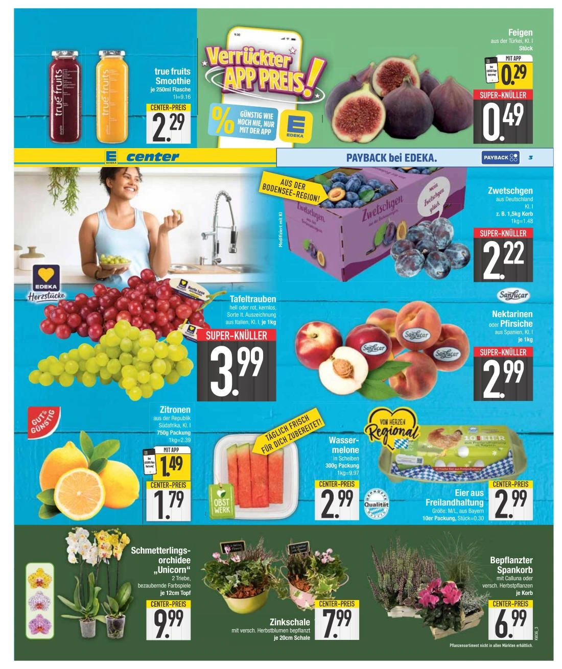 Flyer page 3