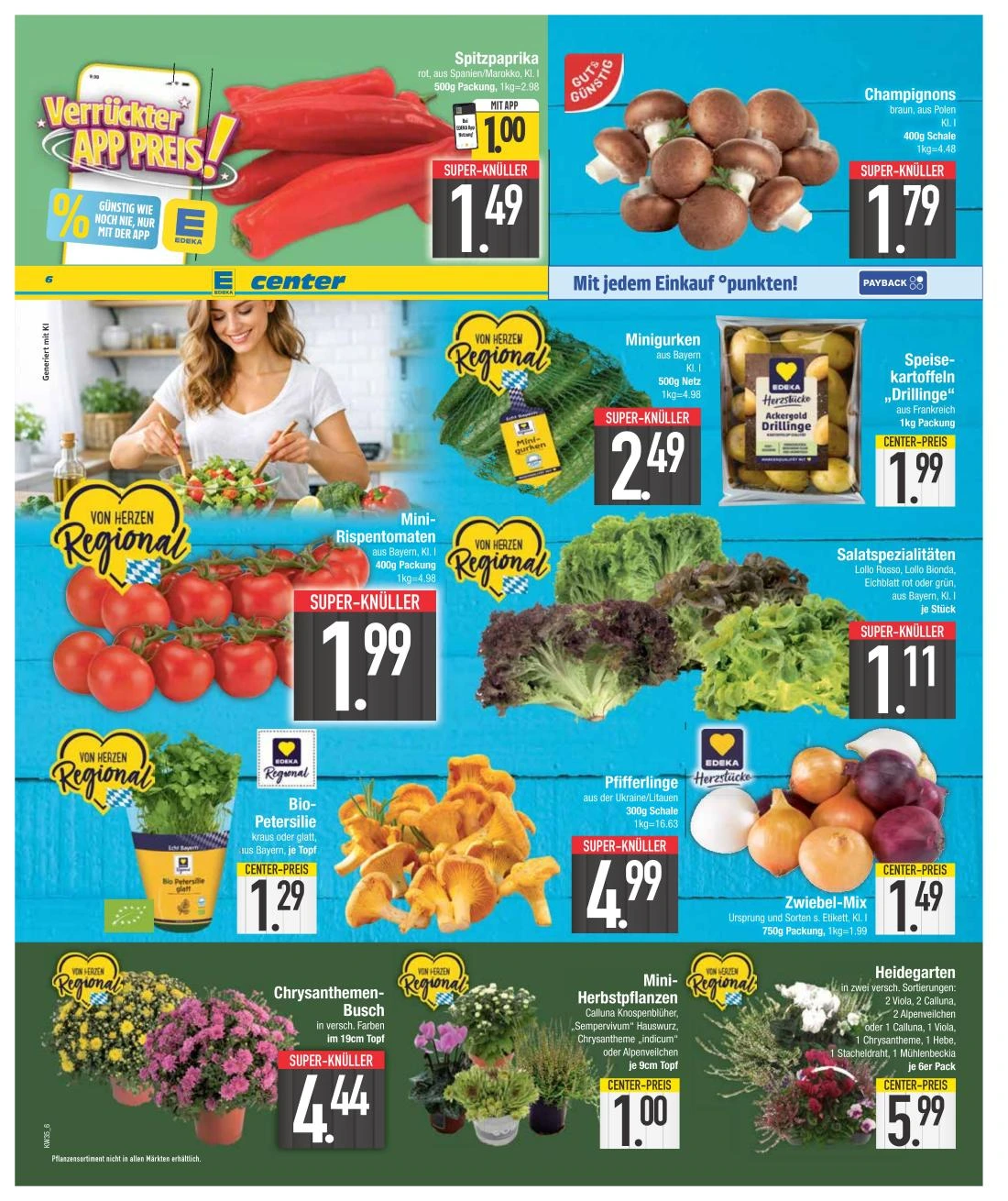 Flyer page 6