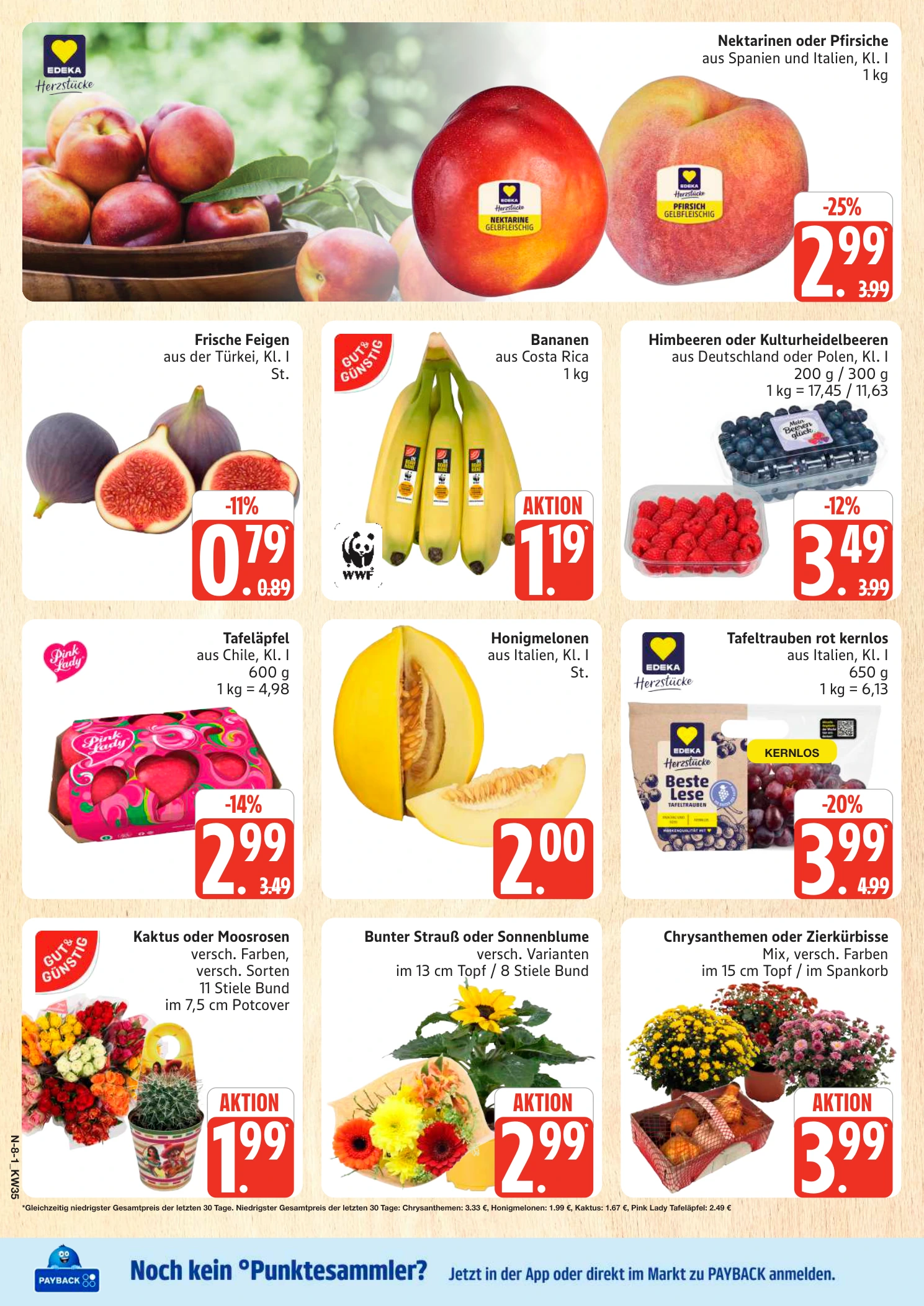 Flyer page 8