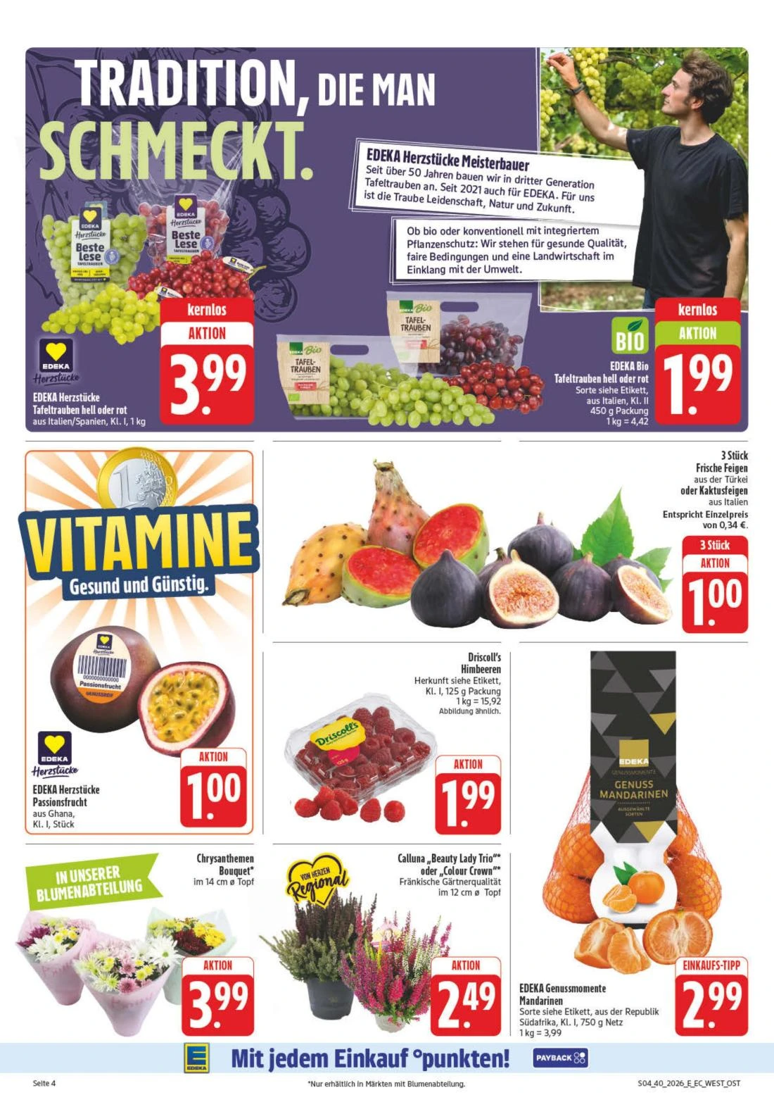 Flyer page 8