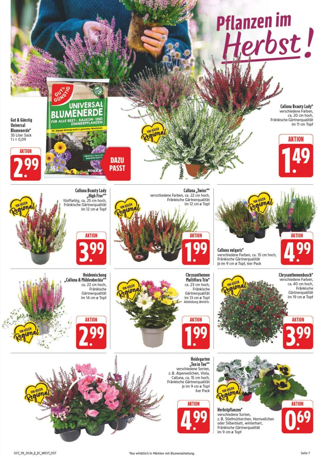 Flyer page 11