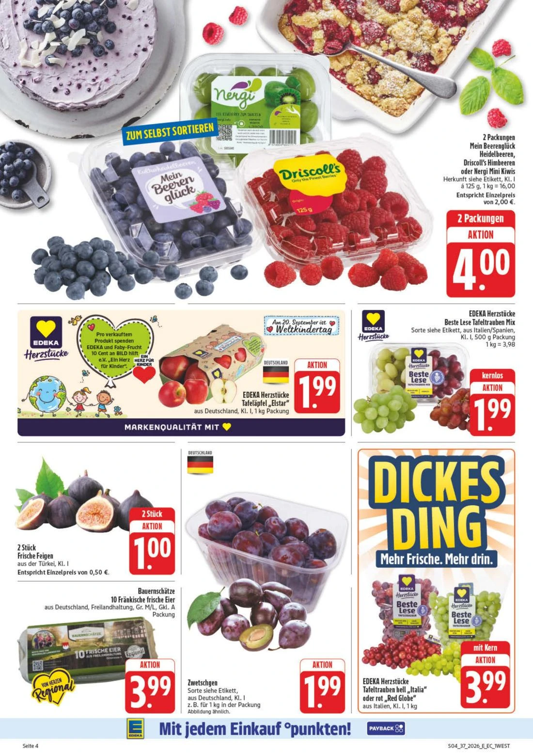 Flyer page 8