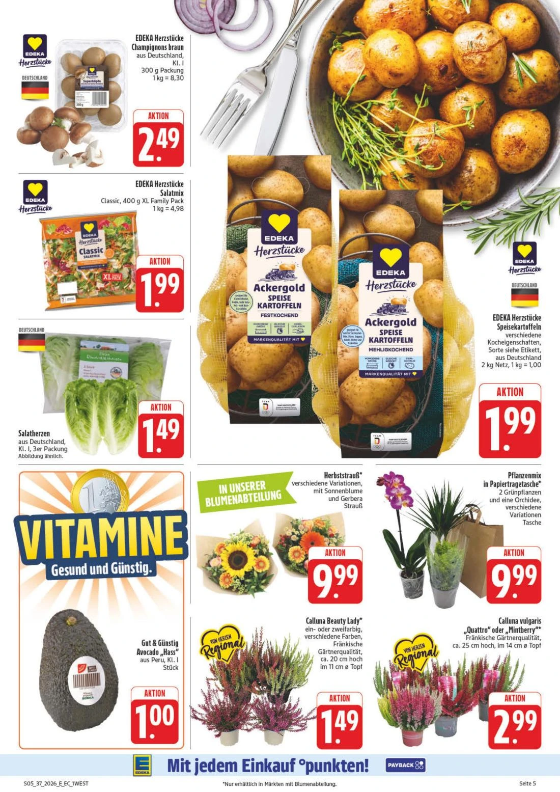 Flyer page 9