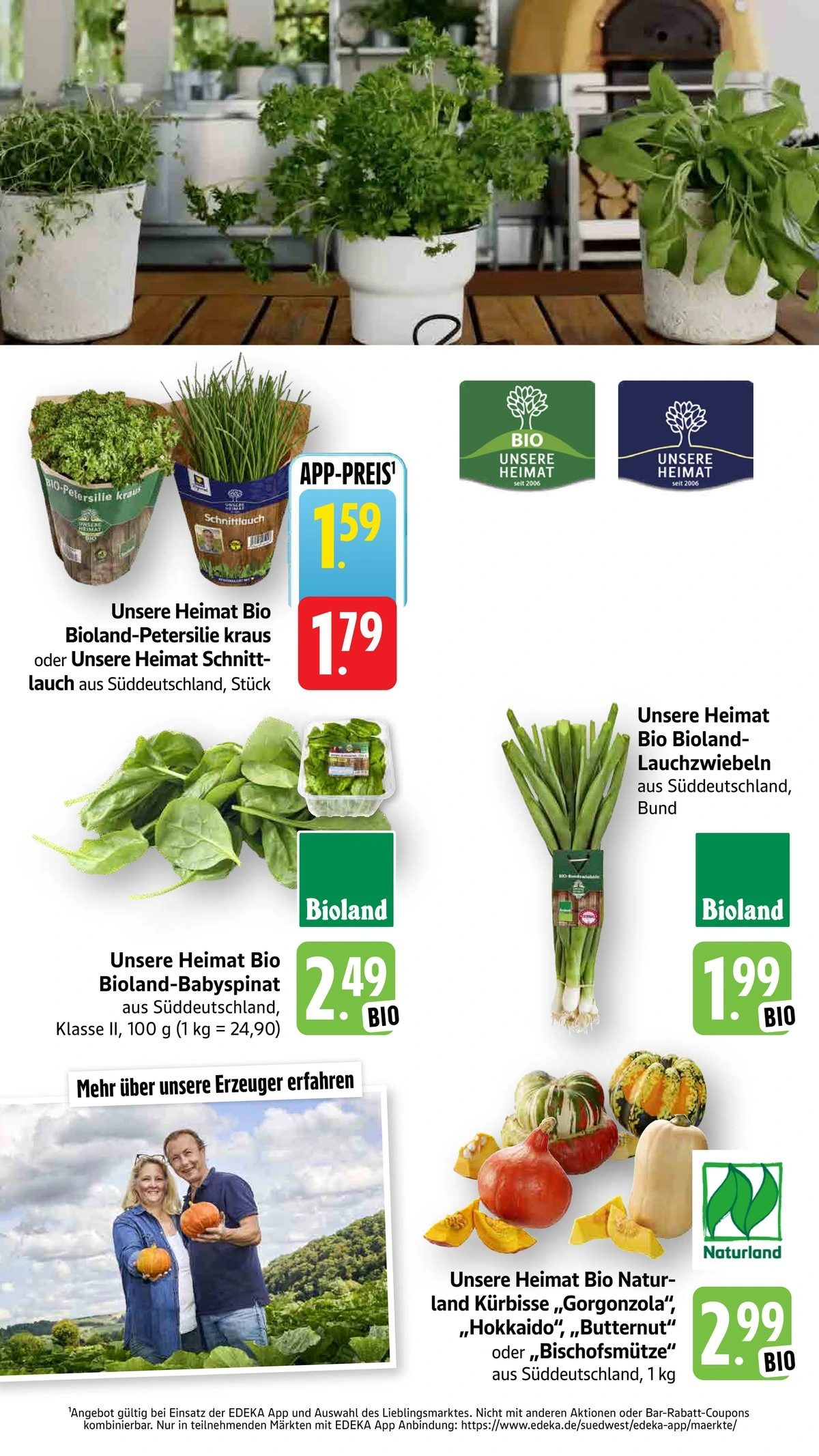 Flyer page 15