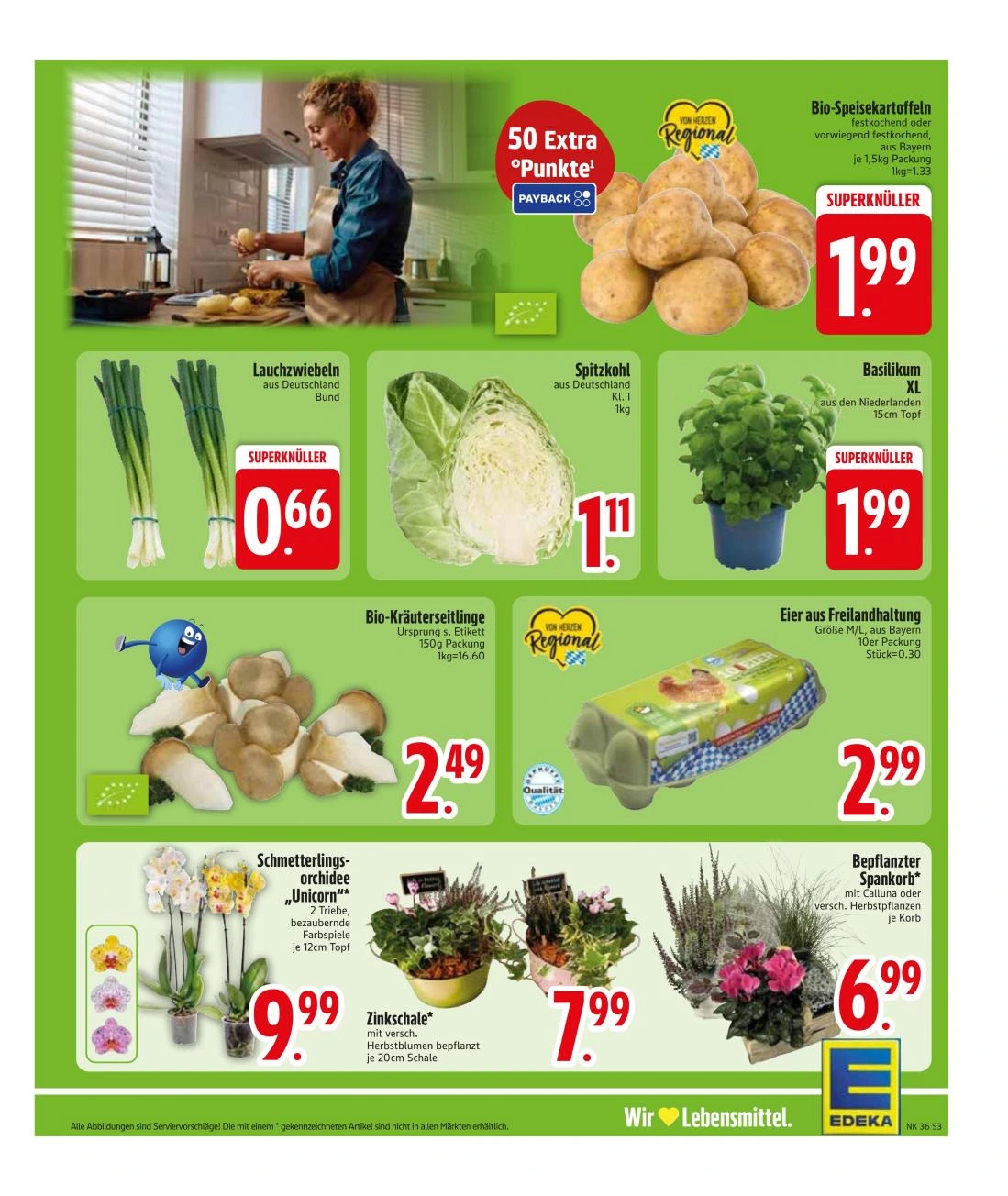 Flyer page 5