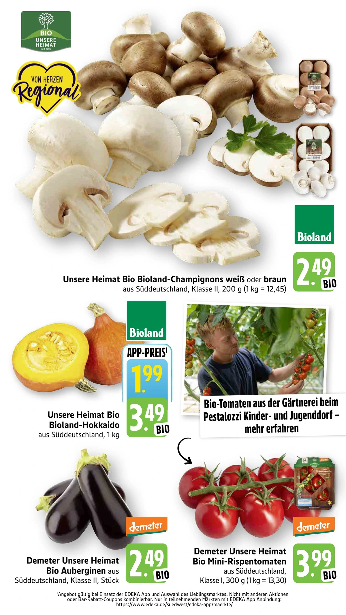 Flyer page 15