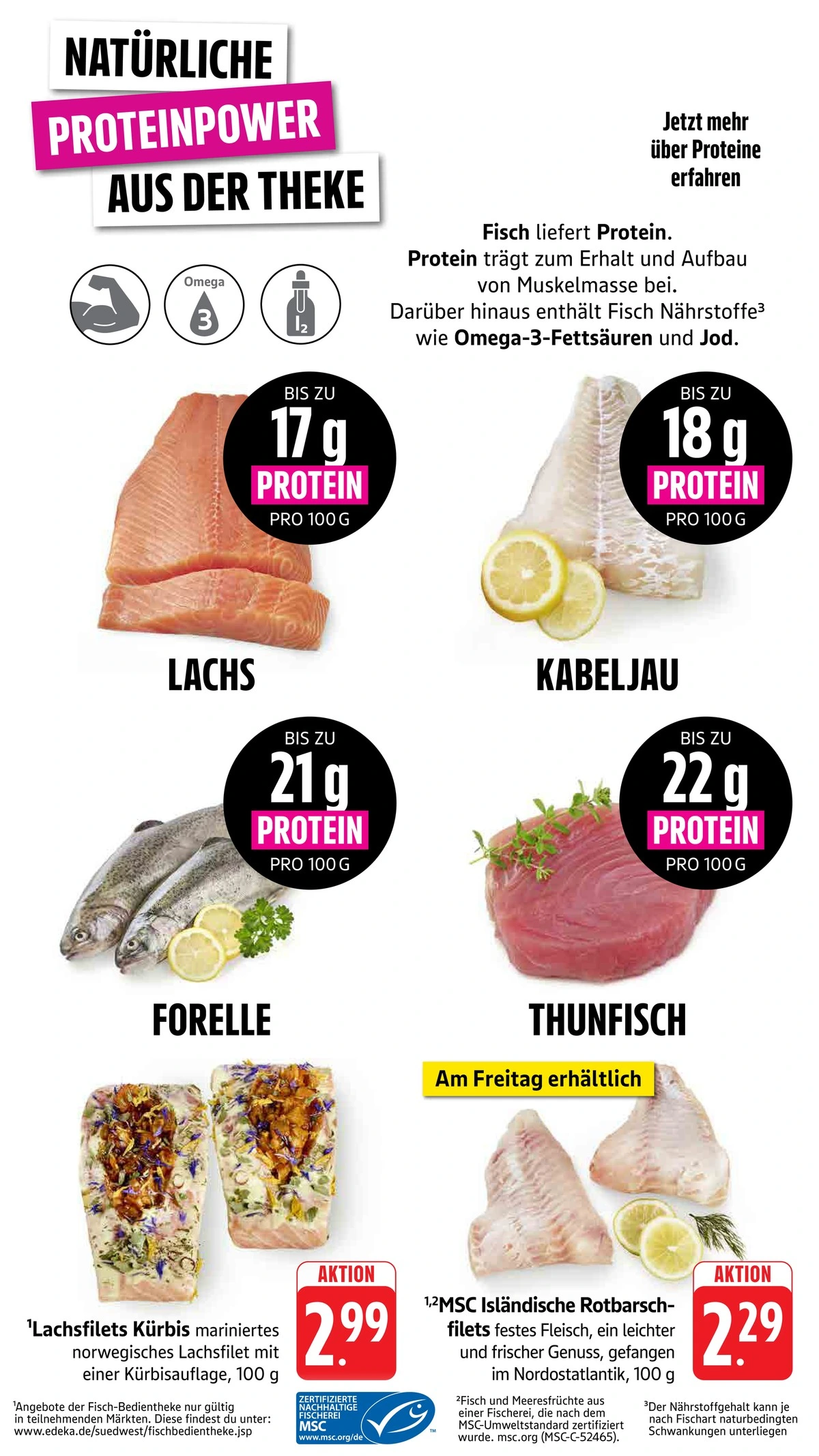 Flyer page 13