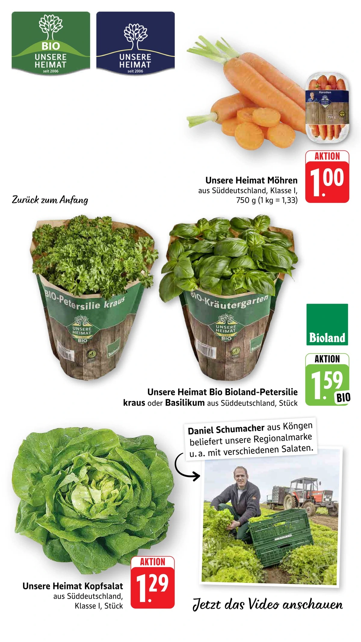 Flyer page 13