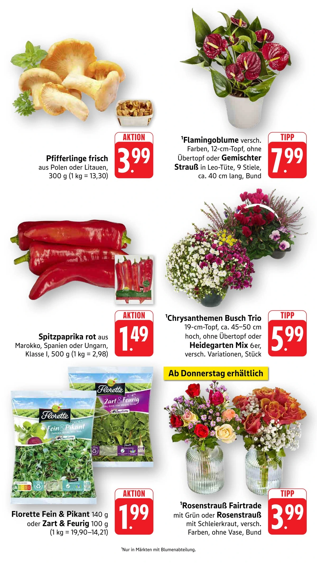Flyer page 15