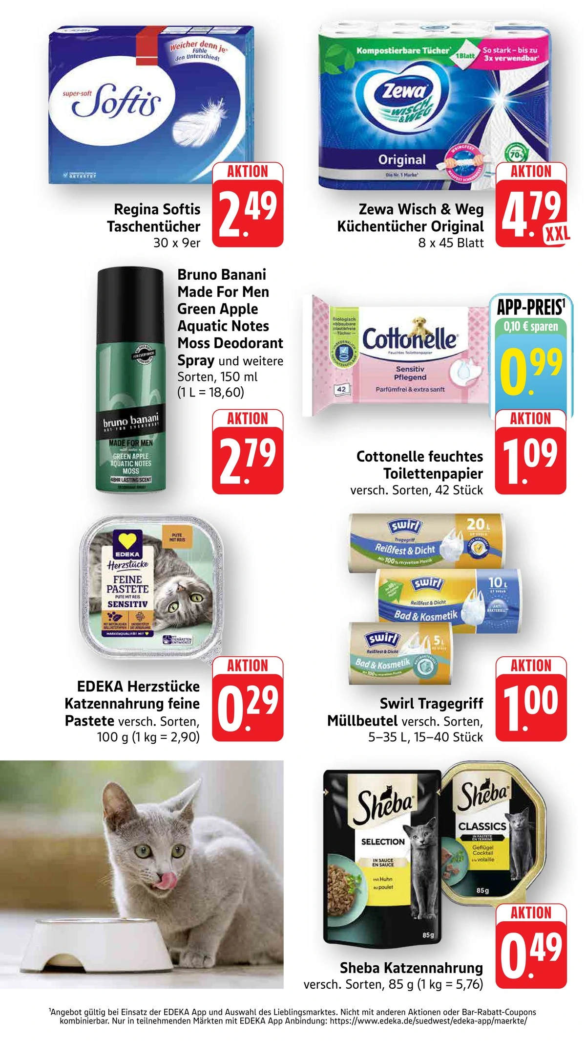 Flyer page 43