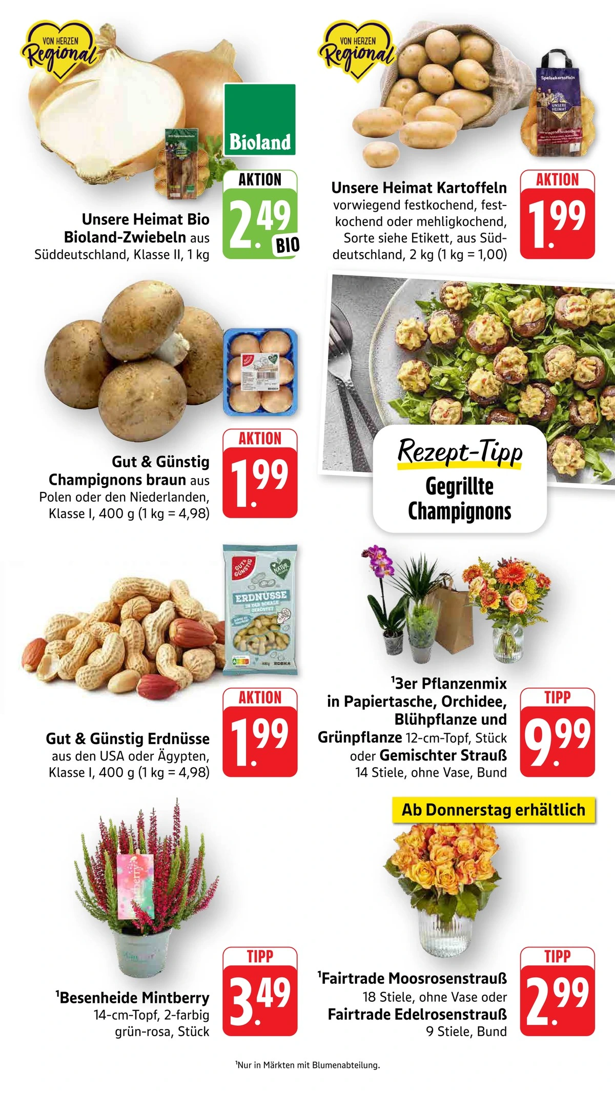 Flyer page 11