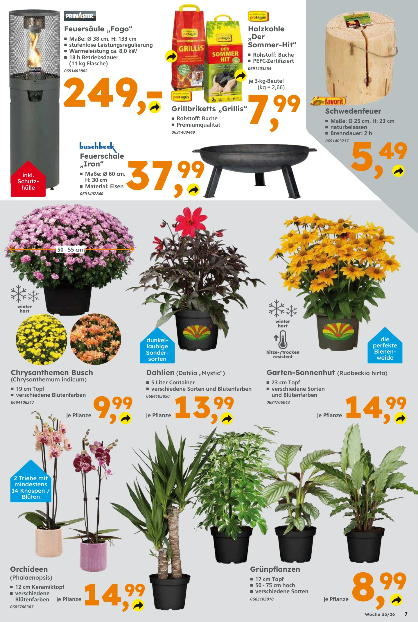 Flyer page 7
