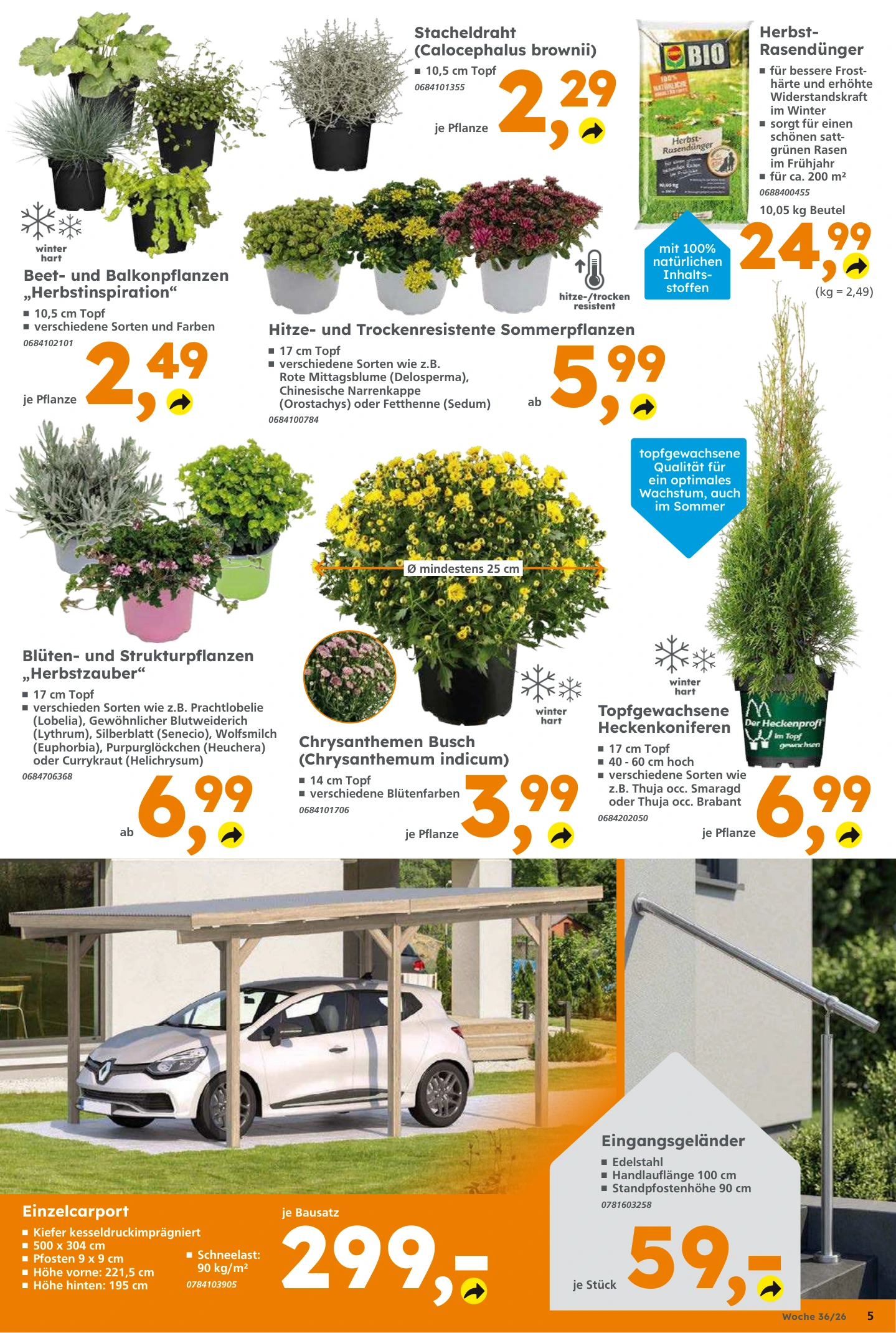 Flyer page 5