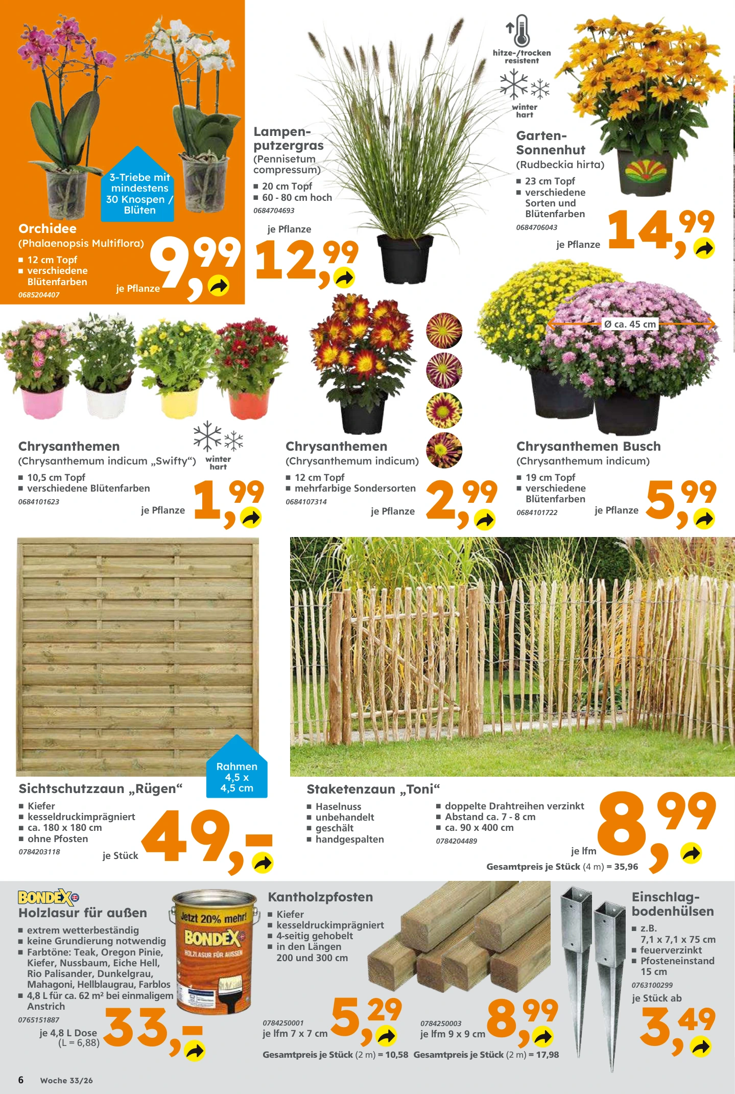 Flyer page 6