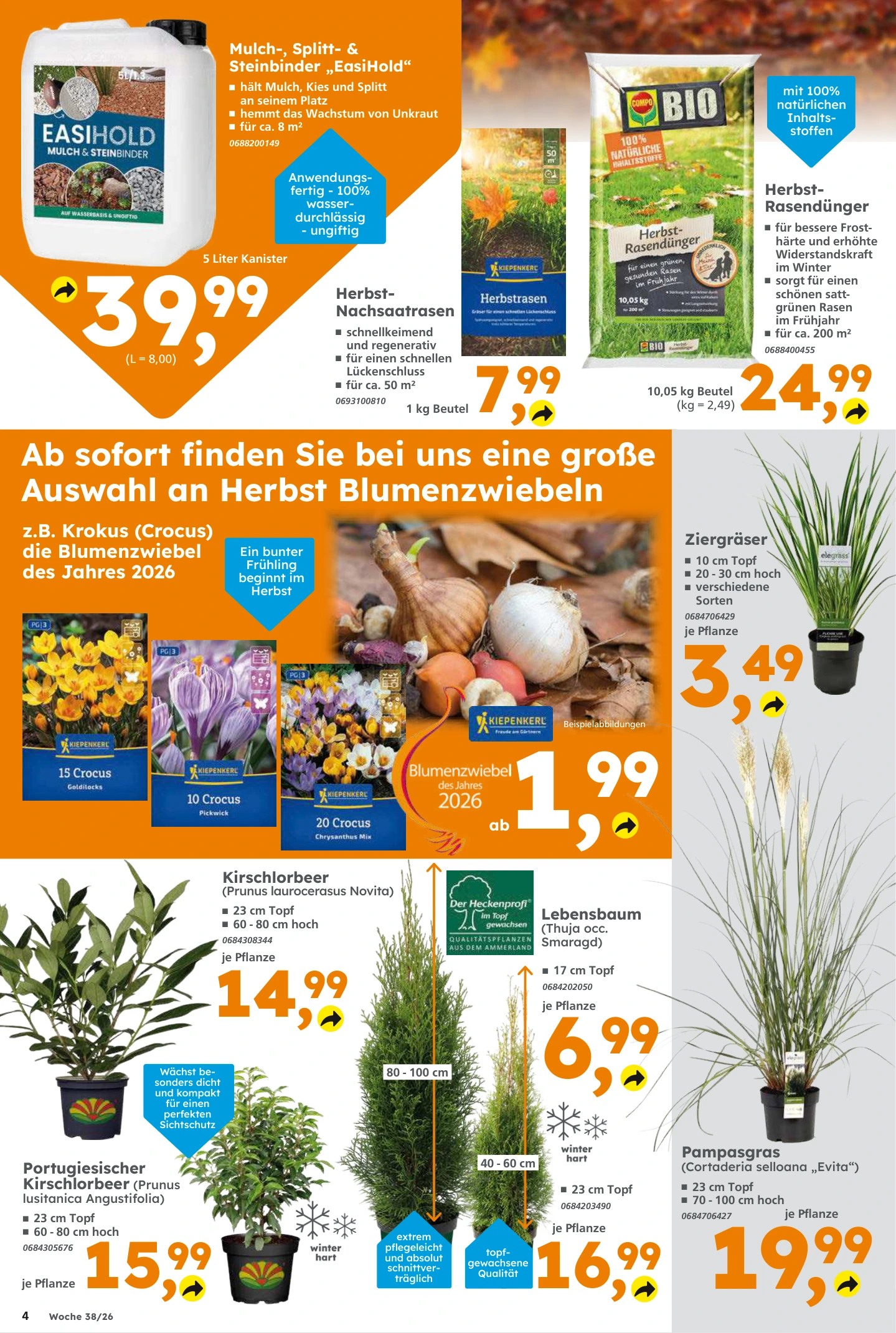Flyer page 4