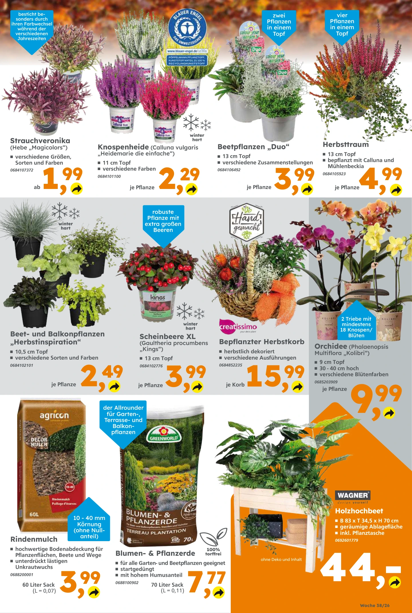 Flyer page 5