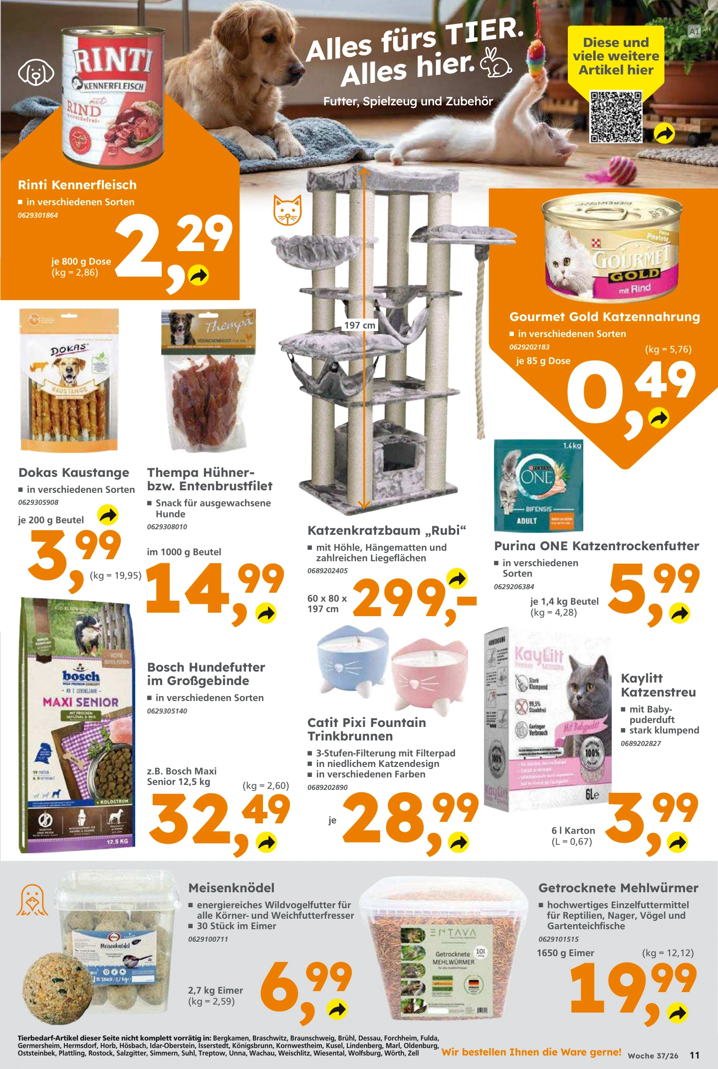 Flyer page 11
