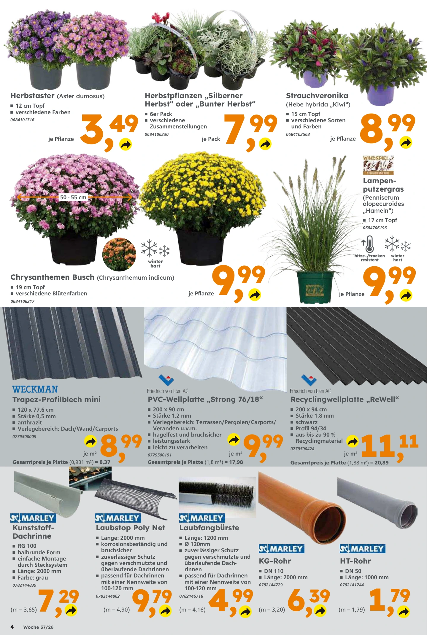 Flyer page 4