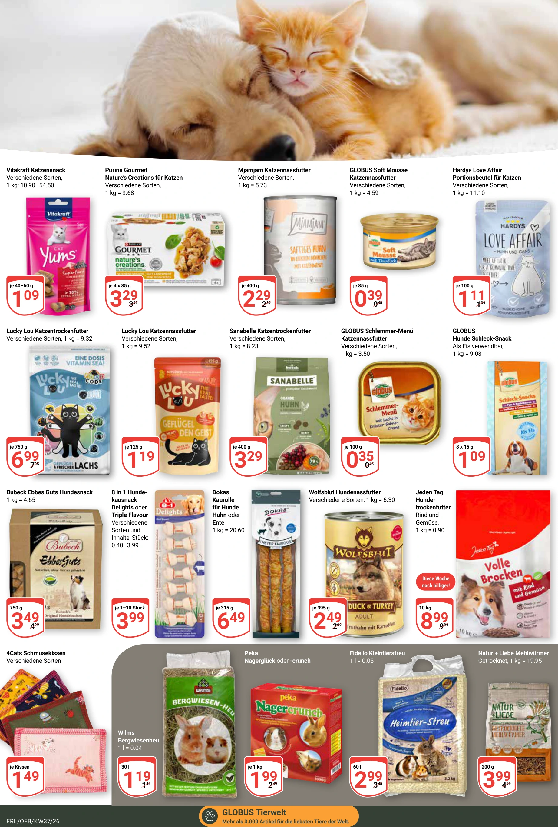 Flyer page 23