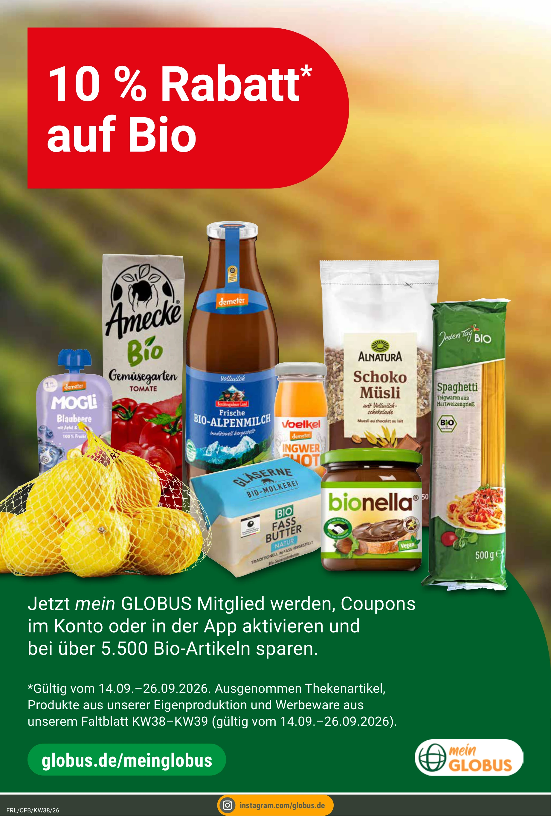 Flyer page 13