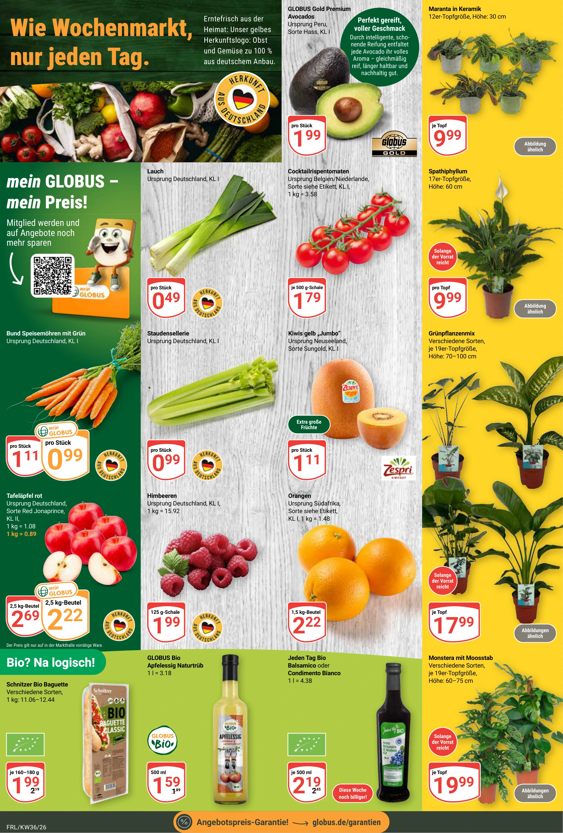 Flyer page 5