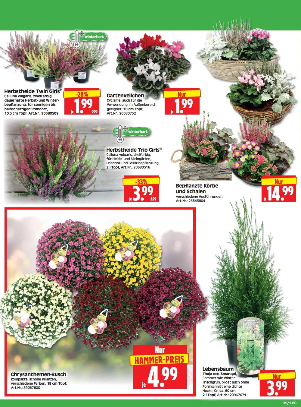 Flyer page 2