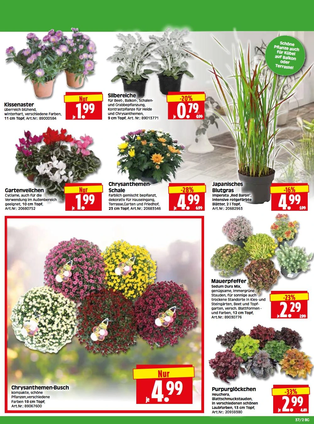 Flyer page 2