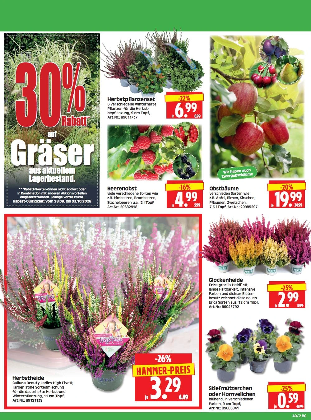 Flyer page 2