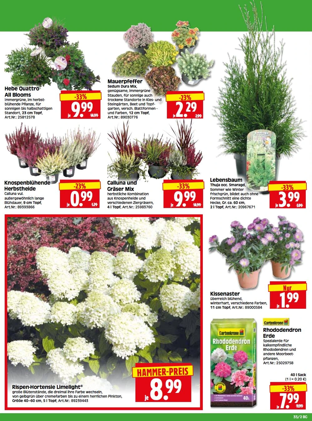 Flyer page 2