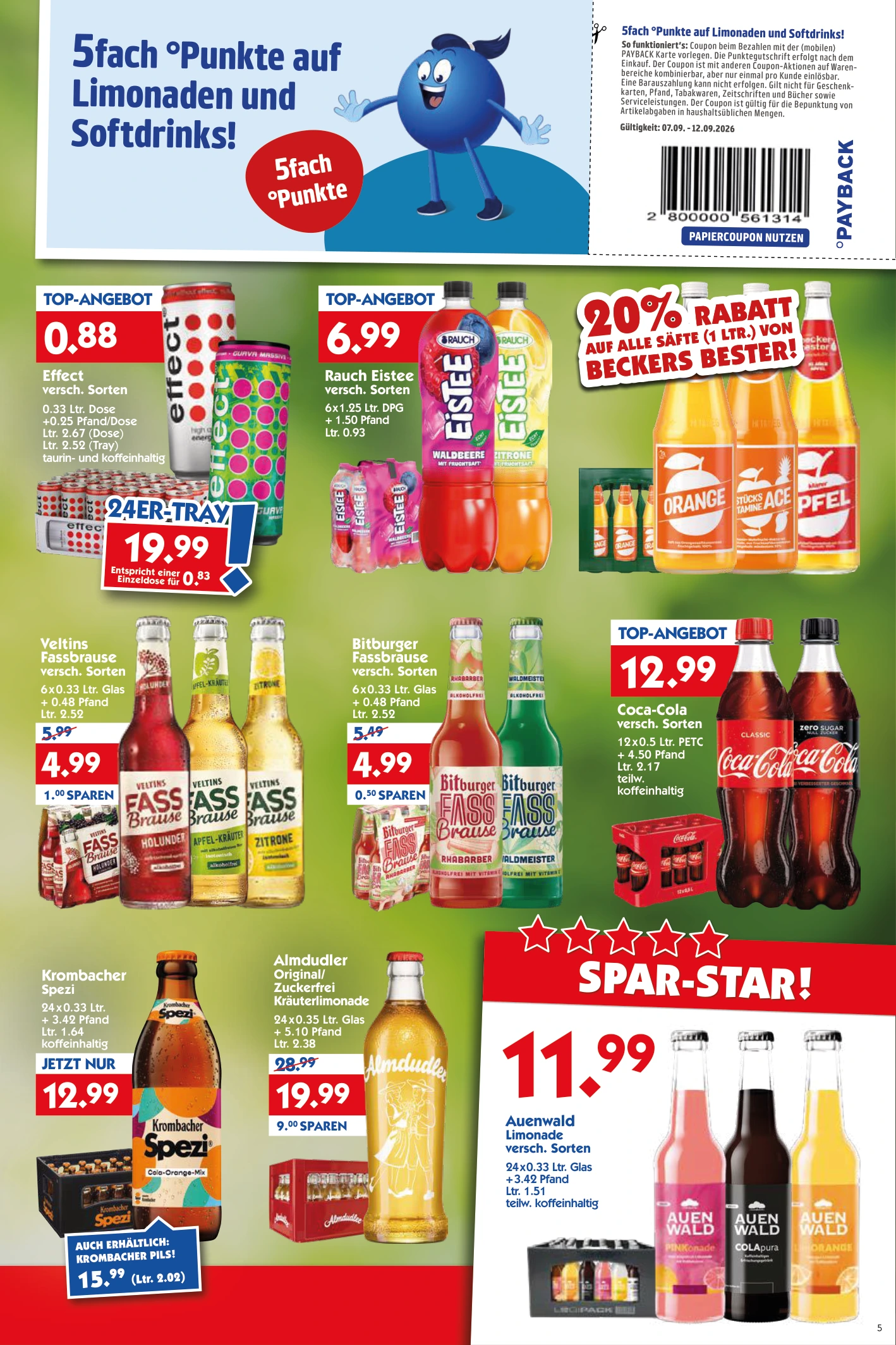Flyer page 5