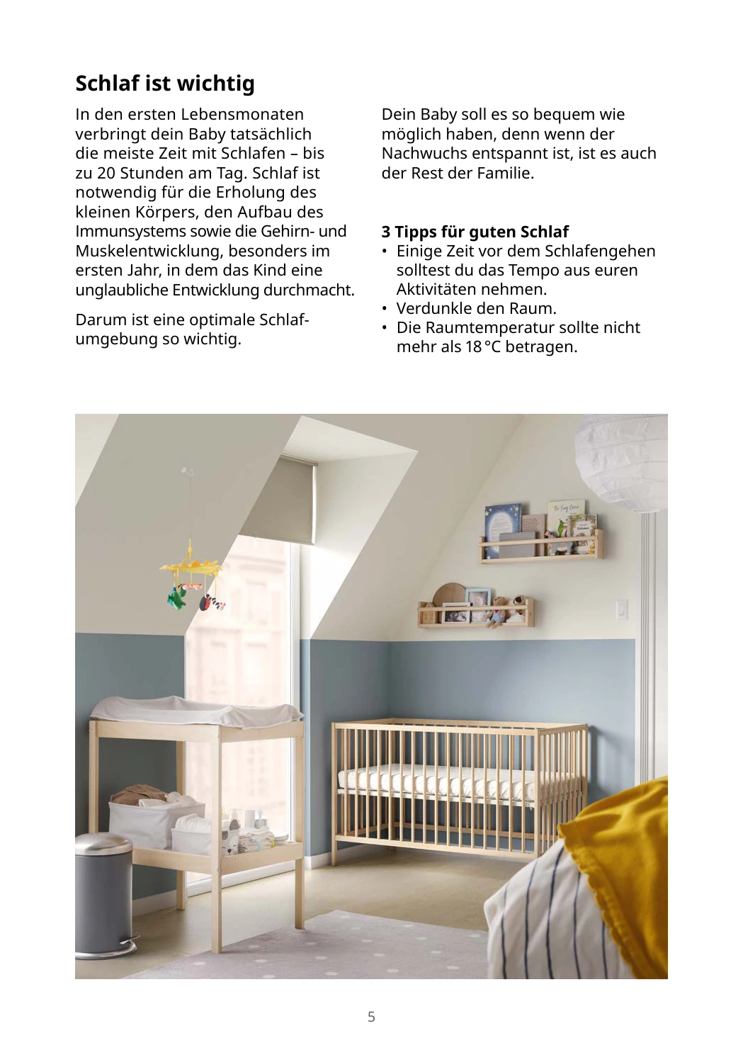 Flyer page 5